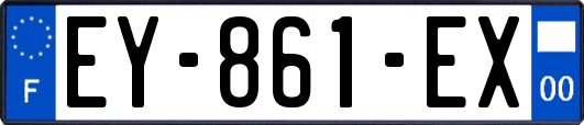 EY-861-EX