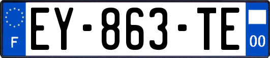 EY-863-TE