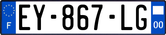 EY-867-LG