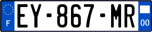 EY-867-MR