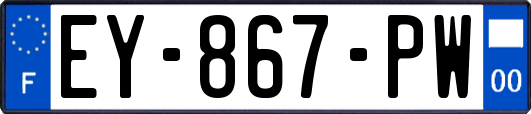 EY-867-PW
