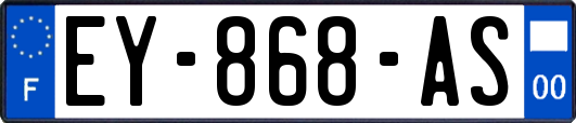 EY-868-AS