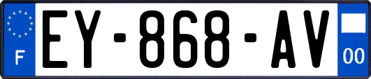 EY-868-AV