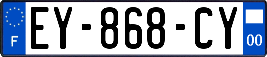 EY-868-CY