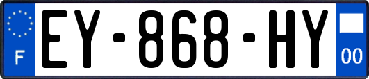 EY-868-HY