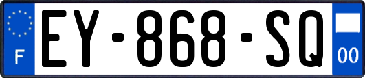 EY-868-SQ