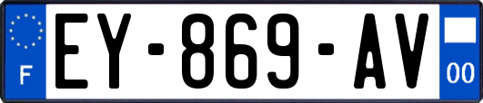 EY-869-AV