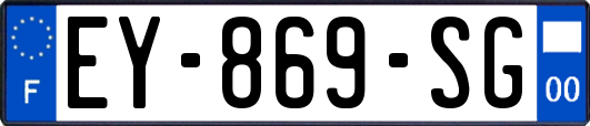 EY-869-SG