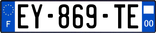 EY-869-TE
