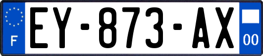 EY-873-AX