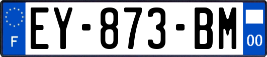 EY-873-BM