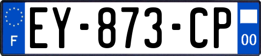 EY-873-CP