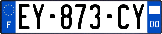 EY-873-CY