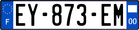 EY-873-EM