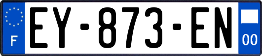 EY-873-EN