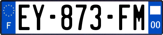 EY-873-FM
