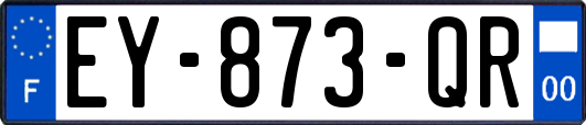 EY-873-QR