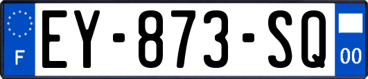 EY-873-SQ