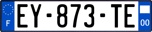 EY-873-TE