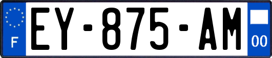 EY-875-AM