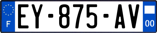 EY-875-AV