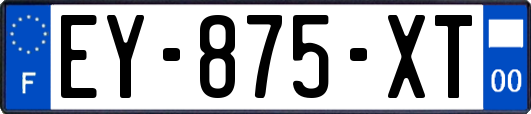 EY-875-XT