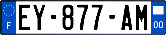 EY-877-AM