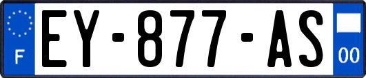 EY-877-AS