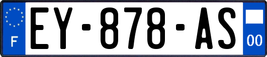 EY-878-AS