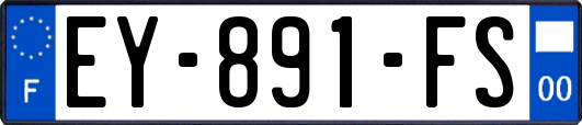 EY-891-FS