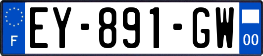 EY-891-GW