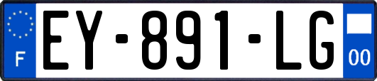 EY-891-LG