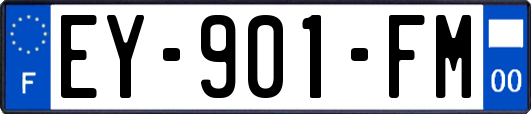 EY-901-FM