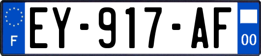 EY-917-AF