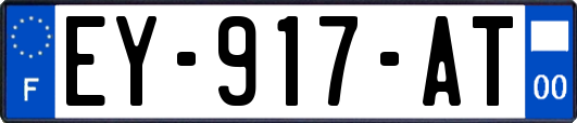 EY-917-AT