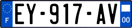 EY-917-AV