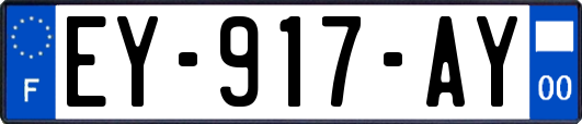 EY-917-AY