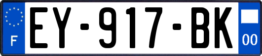 EY-917-BK