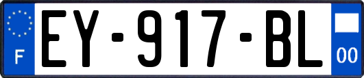 EY-917-BL