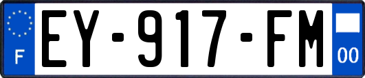 EY-917-FM