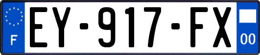 EY-917-FX