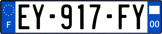 EY-917-FY