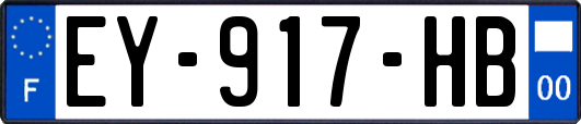 EY-917-HB