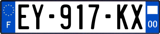 EY-917-KX