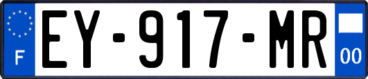 EY-917-MR