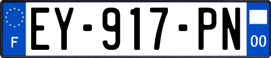 EY-917-PN