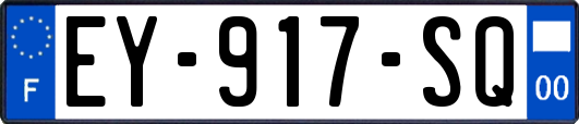 EY-917-SQ
