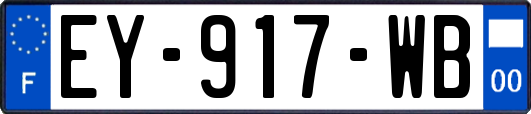 EY-917-WB