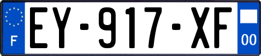 EY-917-XF