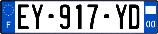 EY-917-YD